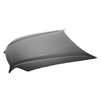 Replace® - Hood Panel (CAPA Certified)