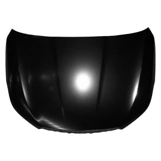 Replace® - Hood Panel (Platinum Plus)
