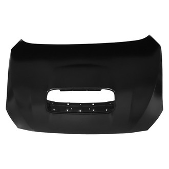 Replace® - Hood Panel (Standard Line)