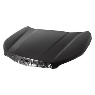 Replace® - Hood Panel (Platinum Plus)