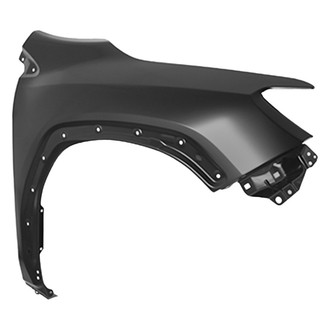 Replace® - Front Passenger Side Fender (Standard Line)