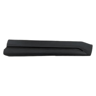 Replace® - Front Passenger Side Door Molding (Standard Line)