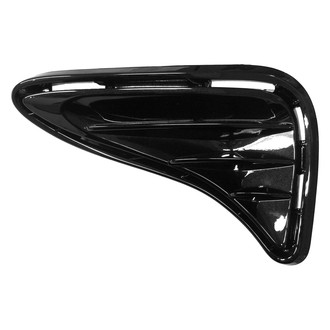 Replace® - Front Passenger Side Fog Light Cover (Standard Line)