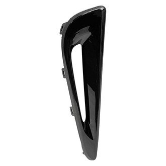 Replace® - Front Outer Passenger Side Bumper Molding (Standard Line)