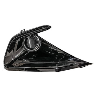 Replace® - Front Passenger Side Fog Light Cover (Standard Line)