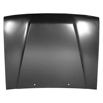 Replace® - Hood Panel (Value Line)