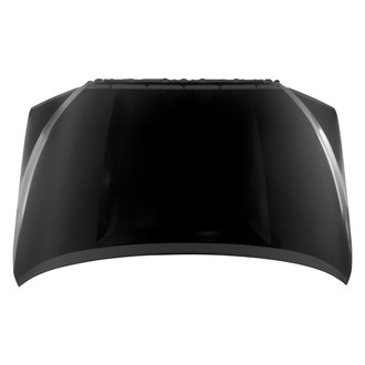 Replace® - Hood Panel (Platinum Plus)