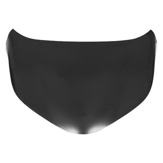 Replace® - Hood Panel (CAPA Certified)