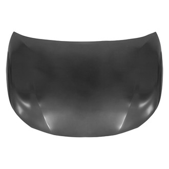 Replace® - Hood Panel (Standard Line)
