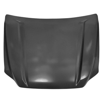 Replace® - Hood Panel (Standard Line)