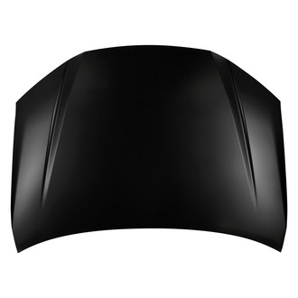 Replace® - Hood Panels