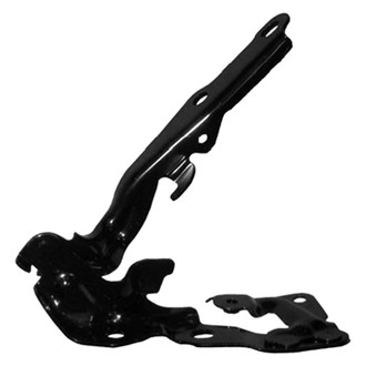 Replace® - Hood Hinge