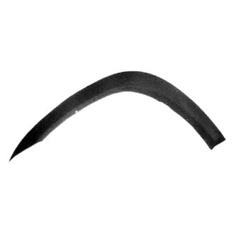 Replace® - Front Passenger Side Fender Flare (Standard Line)