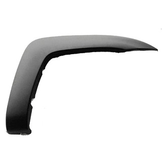 Replace® - Front Passenger Side Fender Flare (Standard Line)