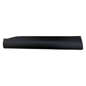 Replace® - Front Driver Side Door Molding (Standard Line)