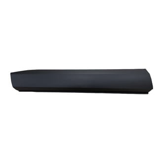 Replace® - Front Driver Side Door Molding (Standard Line)