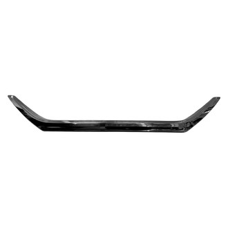 Replace® - Trunk Lid Trim