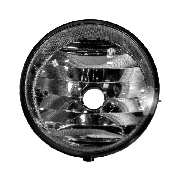 Replace® - Passenger Side Replacement Fog Light Lens and Housing