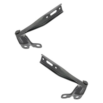 Replace® - Hood Hinge Set (Standard Line)