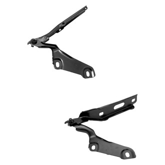 Replace® - Hood Hinges