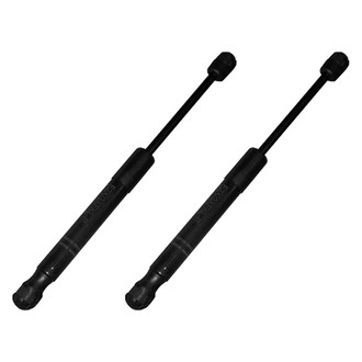 Replace® - Driver and Passenger Side Hood Lift Support Set (Standard Line)