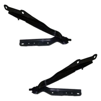 Replace® - Hood Hinges