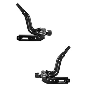 Replace® - Hood Hinges
