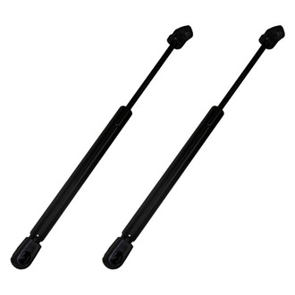 Replace® - Driver and Passenger Side Hood Lift Support Set (Standard Line)