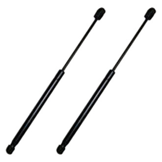 Replace® - Driver and Passenger Side Hood Lift Support Set (Standard Line)