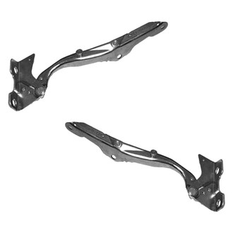 Replace® - Hood Hinge Set (Standard Line)