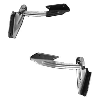 Replace® - Hood Hinge Set (Standard Line)