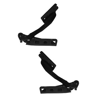 Replace® - Hood Hinge Set (Standard Line)