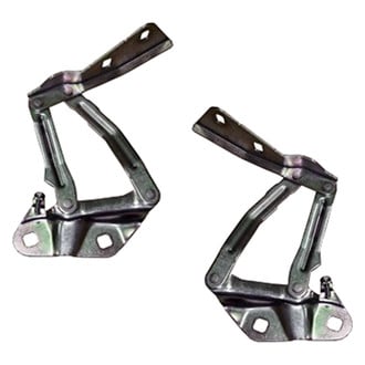 Replace® - Hood Hinges