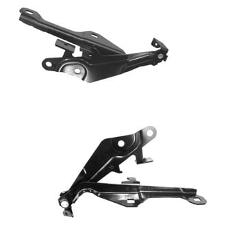 Replace® - Hood Hinge Set (Standard Line)