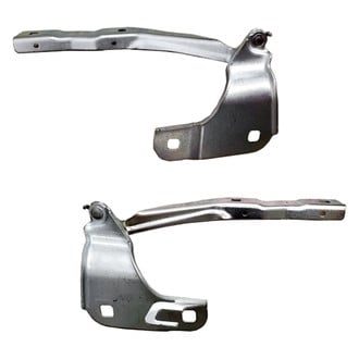 Replace® - Hood Hinges