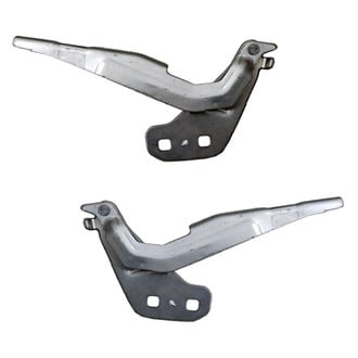 Replace® - Hood Hinges