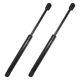Replace® - Driver and Passenger Side Hood Lift Support Set (Standard Line)