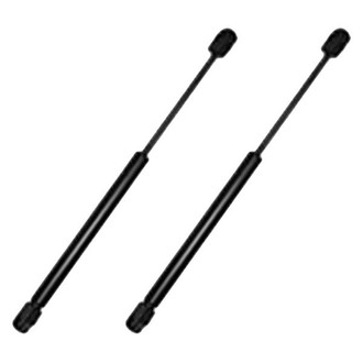 Replace® - Driver and Passenger Side Hood Lift Support Set (Standard Line)