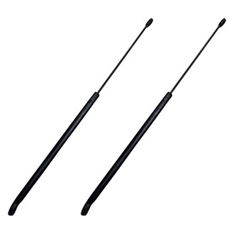 Replace® - Driver and Passenger Side Hood Lift Support Set (Standard Line)