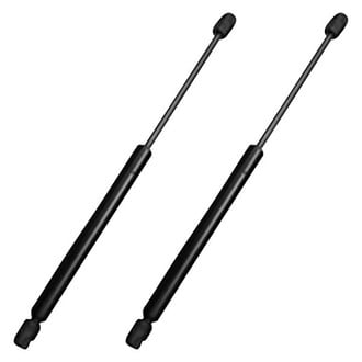 Replace® - Driver and Passenger Side Hood Lift Support Set (Standard Line)
