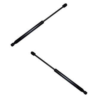 Replace® - Driver and Passenger Side Hood Lift Support Set (Standard Line)