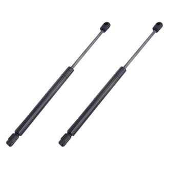 Replace® - Driver and Passenger Side Hood Lift Support Set (Standard Line)