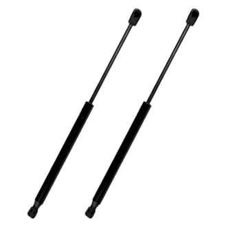 Replace® - Driver and Passenger Side Hood Lift Support Set (Standard Line)