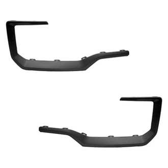 Replace® - Rear Bumper Cover Molding