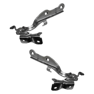 Replace® - Hood Hinge Set (Standard Line)