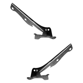 Replace® - Hood Hinges
