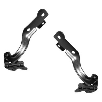 Replace® - Hood Hinges