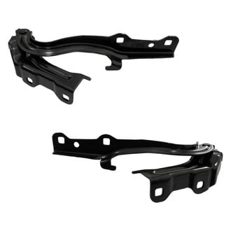Replace® - Hood Hinges