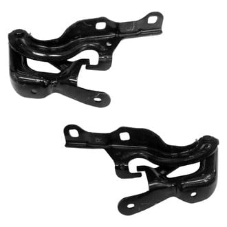 Replace® - Hood Hinge Set (Standard Line)