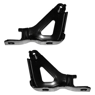 Replace® - Hood Hinge Set (Standard Line)
